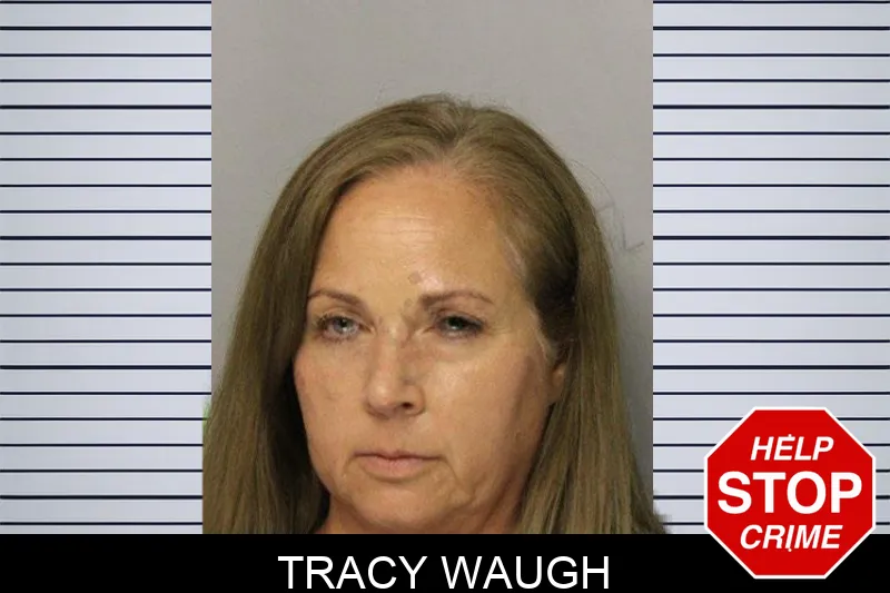 Tracy Waugh mugshot – Hall County , Georgia Tracy Waugh mugshot