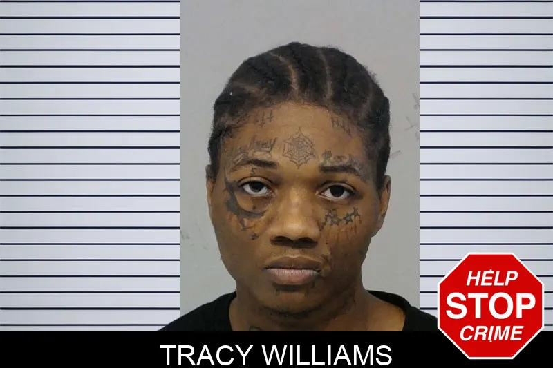 Tracy Williams mugshot – Bibb County , Georgia Tracy Williams mugshot