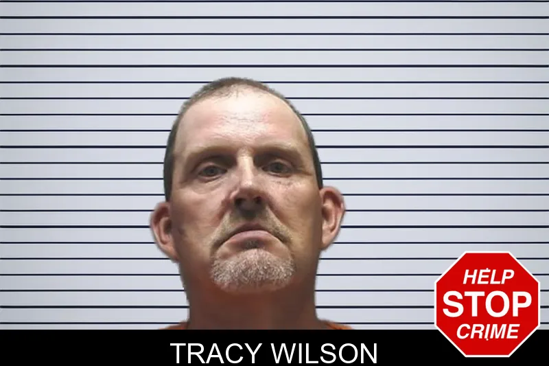 Tracy Wilson mugshot – Cherokee County , Georgia Tracy Wilson mugshot