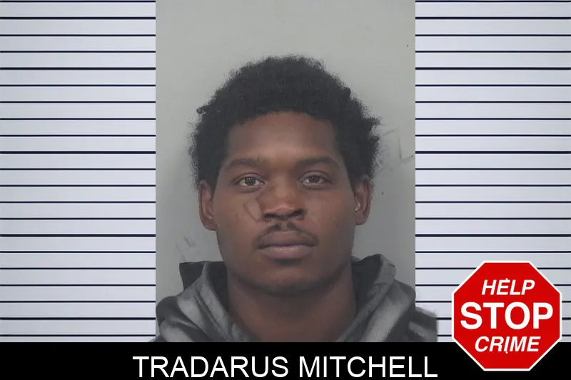 Tradarus Mitchell mugshot – Gwinnett County , Georgia Tradarus Mitchell mugshot