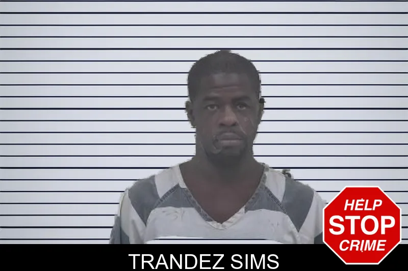 Trandez Sims mugshot