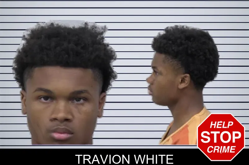 Travion White mugshot – Paulding County , Georgia Travion White mugshot