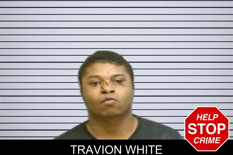 Travion White mugshot