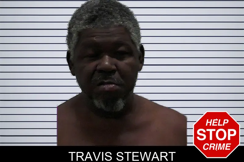 Travis Stewart mugshot – Pierce County , Georgia Travis Stewart mugshot
