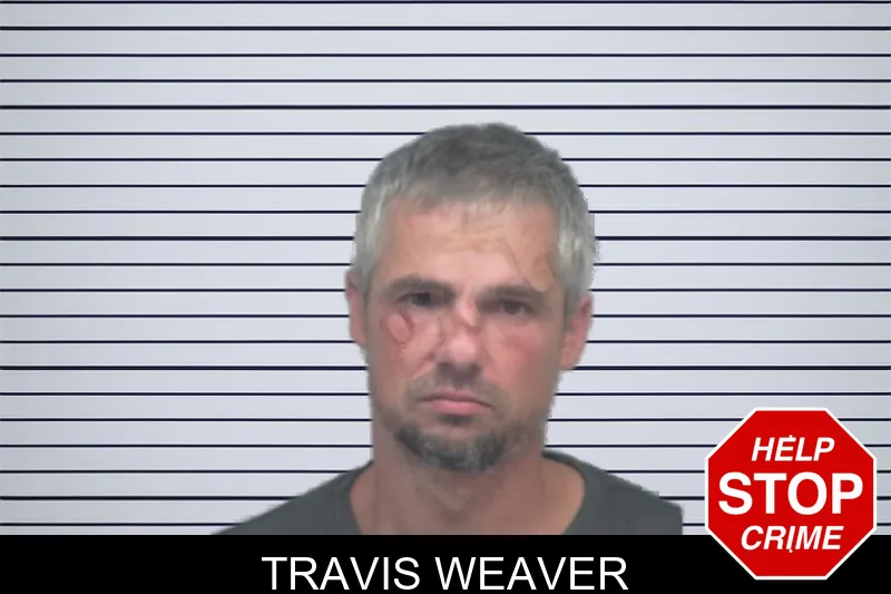 Travis Weaver mugshot – Gwinnett County , Georgia Travis Weaver mugshot