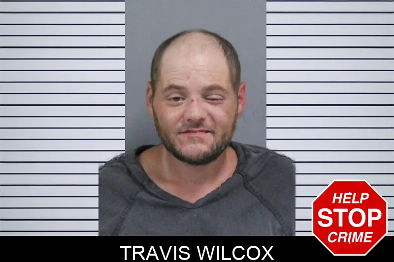 Travis Wilcox mugshot – Catoosa County , Georgia Travis Wilcox mugshot