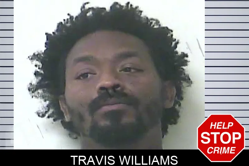 Travis Williams mugshot – Oconee County , Georgia Travis Williams mugshot