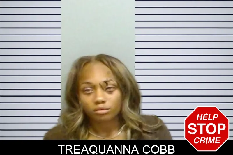 Treaquanna Cobb mugshot – Fulton County , Georgia Treaquanna Cobb mugshot