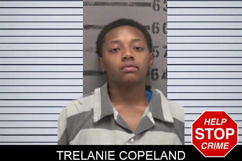 Trelanie Copeland mugshot – Dougherty County , Georgia Trelanie Copeland mugshot