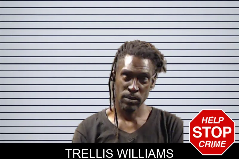 Trellis Williams mugshot – DeKalb County , Georgia Trellis Williams mugshot