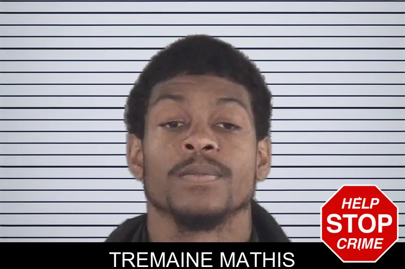 Tremaine Mathis mugshot – Spalding County , Georgia Tremaine Mathis mugshot