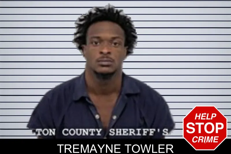 Tremayne Towler mugshot