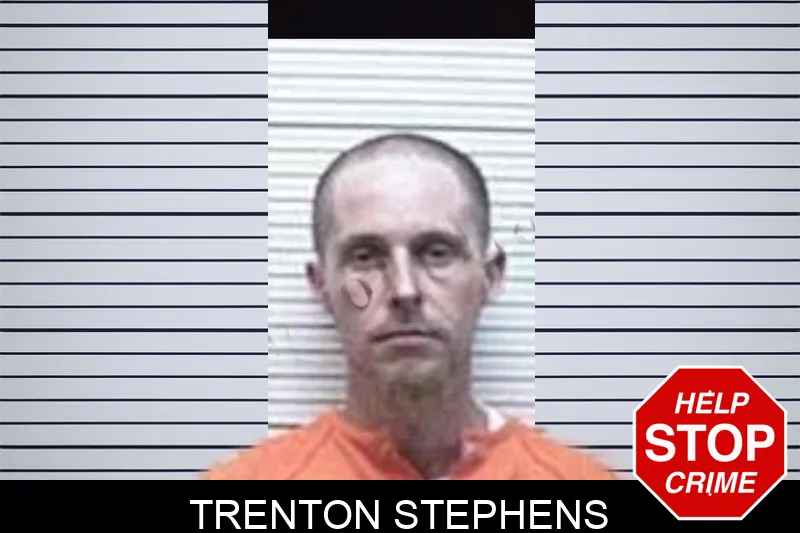Trenton Stephens mugshot – Tattnall County , Georgia Trenton Stephens mugshot