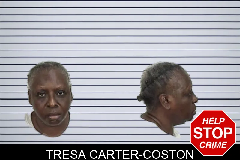 Tresa Carter-Coston mugshot – Camden County , Georgia Tresa Carter-Coston mugshot