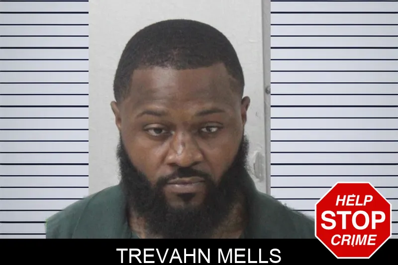 Trevahn Mells mugshot – Mcintosh County , Georgia Trevahn Mells mugshot