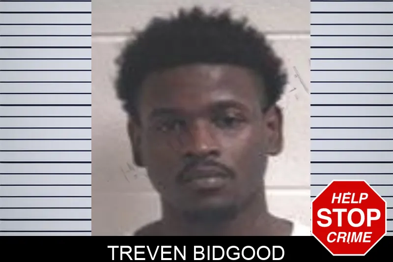 Treven Bidgood mugshot – Henry County , Georgia Treven Bidgood mugshot