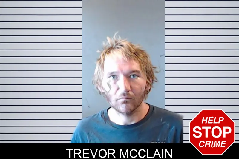 Trevor McClain mugshot – DeKalb County , Georgia Trevor McClain mugshot