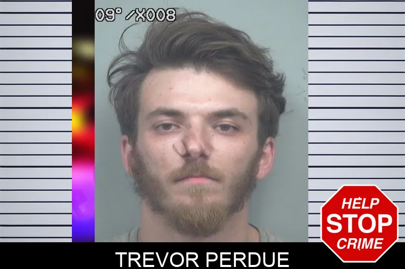 Trevor Perdue mugshot – Gwinnett County , Georgia Trevor Perdue mugshot