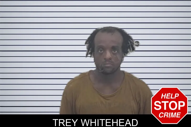 Trey Whitehead mugshot