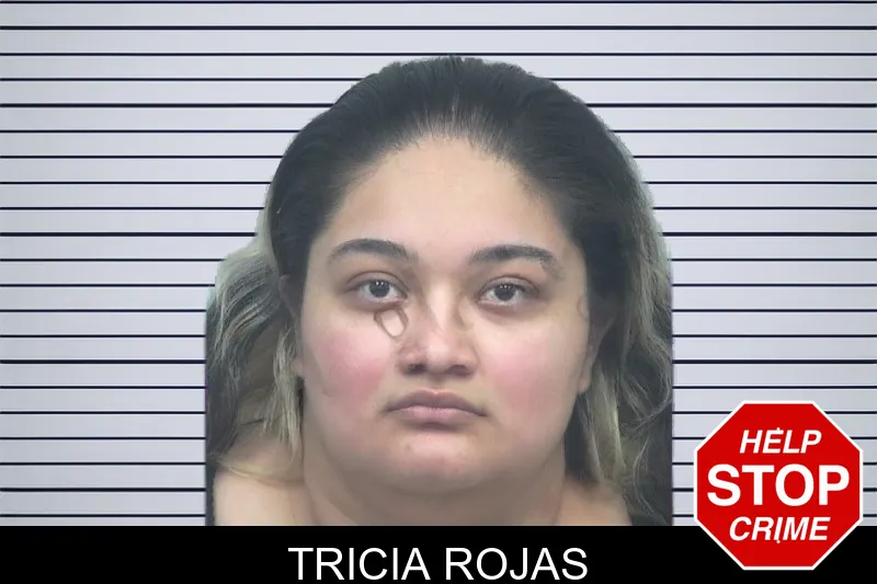 Tricia Rojas mugshot – Gwinnett County , Georgia Tricia Rojas mugshot