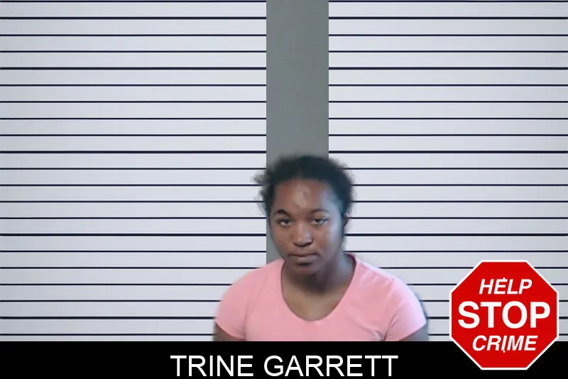 Trine Garrett mugshot – DeKalb County , Georgia Trine Garrett mugshot