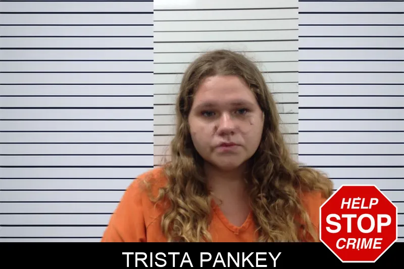Trista Pankey mugshot – Pickens County , Georgia Trista Pankey mugshot