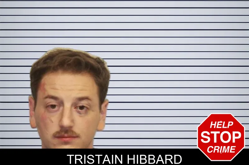 Tristain Hibbard mugshot