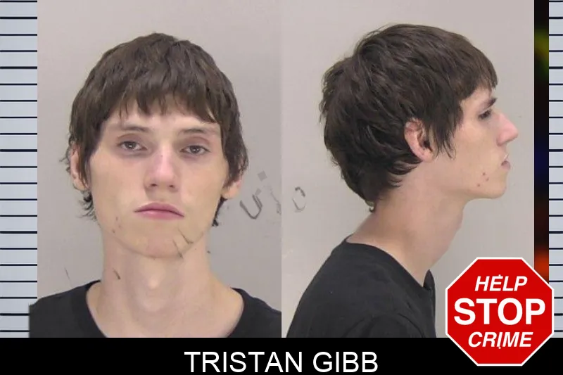 Tristan Gibb mugshot