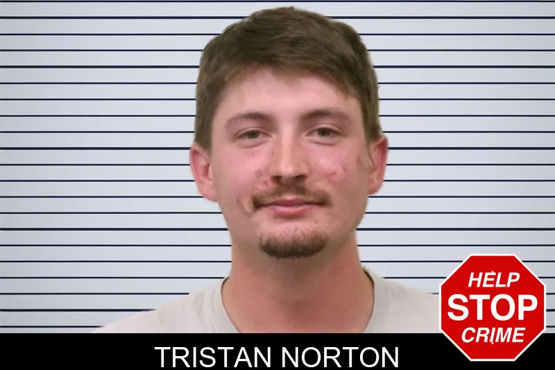 Tristan Norton mugshot – Bulloch County , Georgia Tristan Norton mugshot