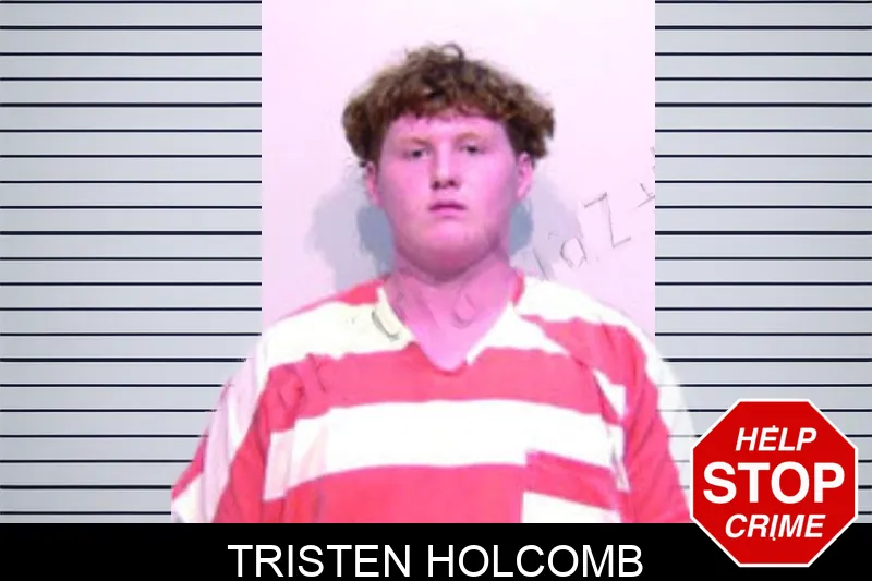Tristen Holcomb mugshot – Bartow County , Georgia Tristen Holcomb mugshot