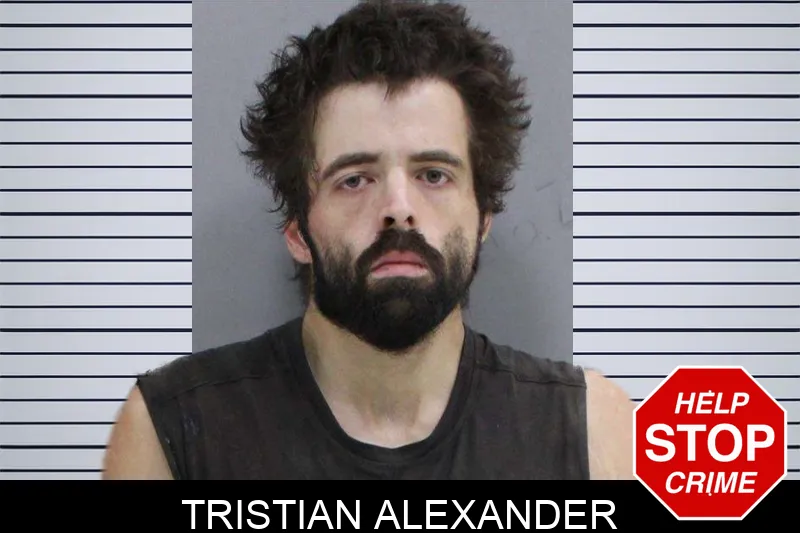 Tristian Alexander mugshot – Rabun County , Georgia Tristian Alexander mugshot