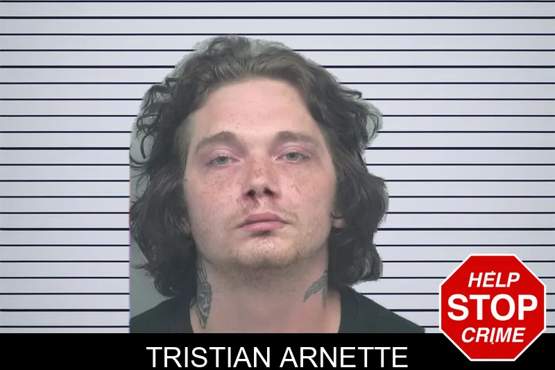 Tristian Arnette mugshot – Gwinnett County , Georgia Tristian Arnette mugshot