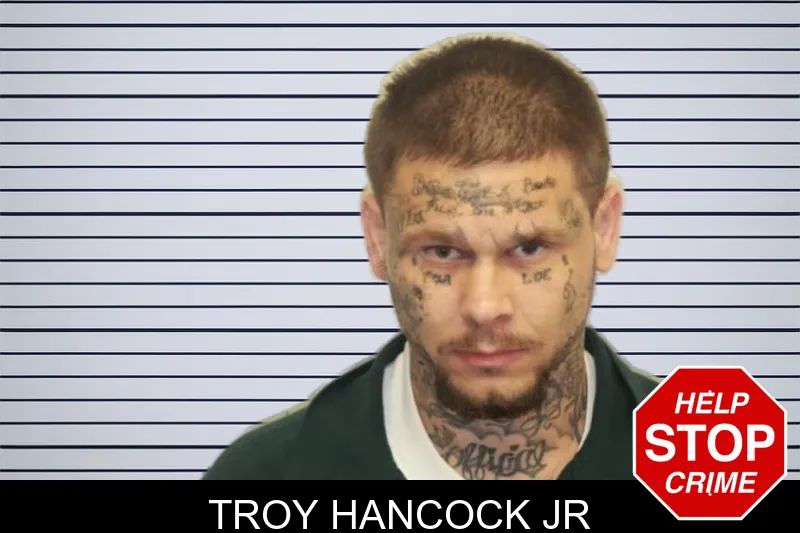 Troy Hancock Jr mugshot – Chatham County , Georgia Troy Hancock Jr mugshot