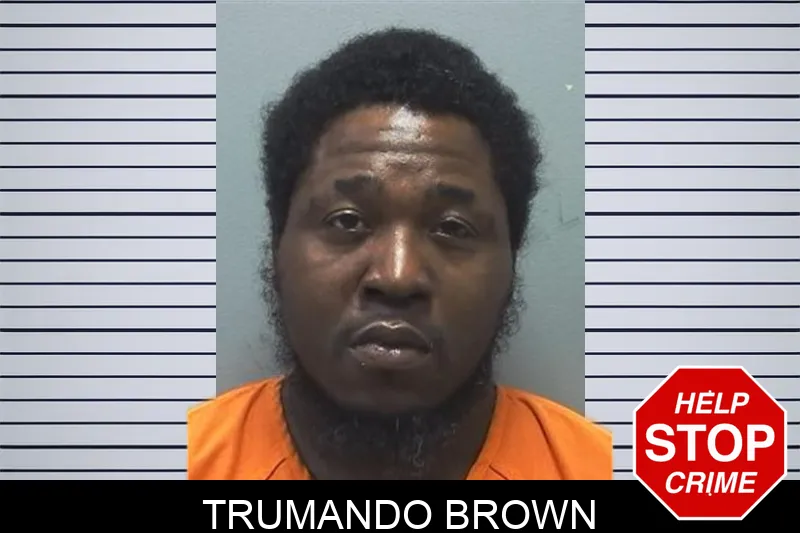 Trumando Brown mugshot – Cherokee County , Georgia Trumando Brown mugshot