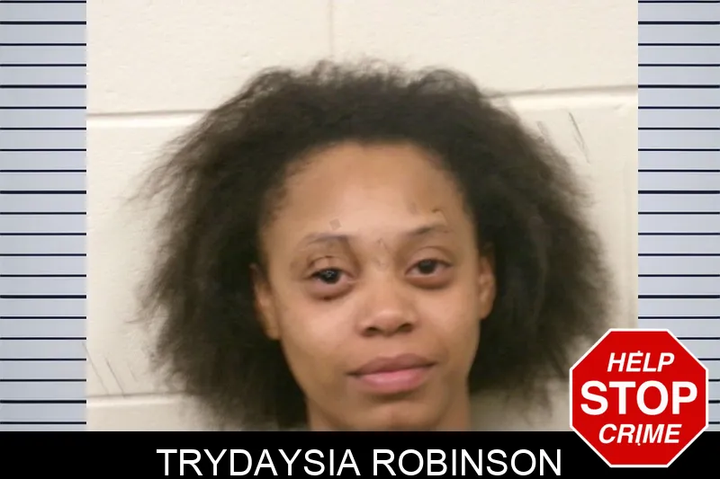 Trydaysia Robinson mugshot – Bulloch County , Georgia Trydaysia Robinson mugshot