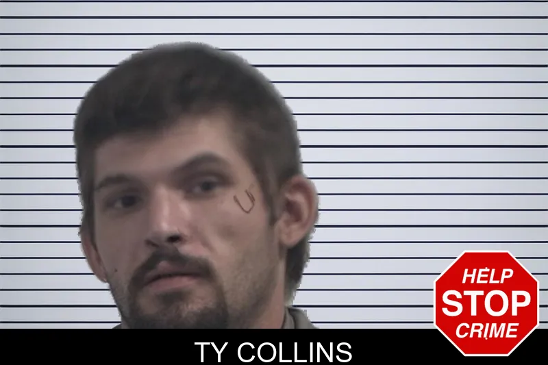 Ty Collins mugshot – McDuffie County , Georgia Ty Collins mugshot