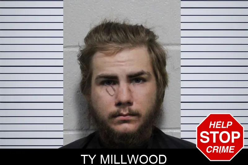 Ty Millwood mugshot – Habersham County , Georgia Ty Millwood mugshot