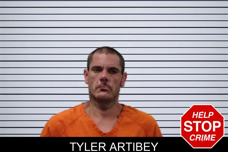 Tyler Artibey mugshot – Pickens County , Georgia Tyler Artibey mugshot