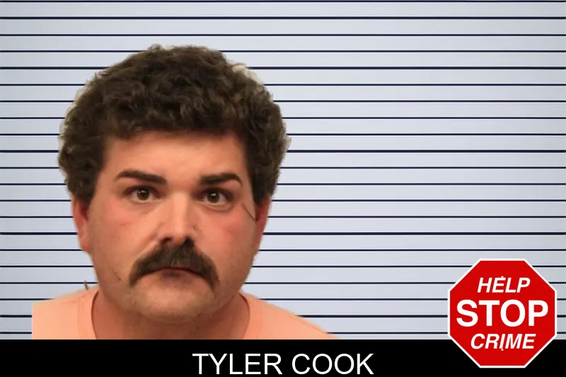 Tyler Cook mugshot – Chatham County , Georgia Tyler Cook mugshot