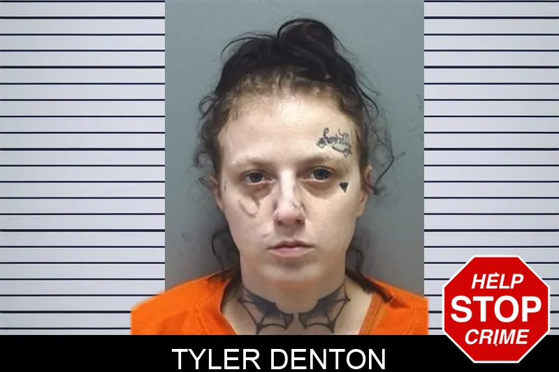 Tyler Denton mugshot – Cherokee County , Georgia Tyler Denton mugshot