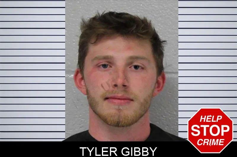 Tyler Gibby mugshot – Carroll County , Georgia Tyler Gibby mugshot