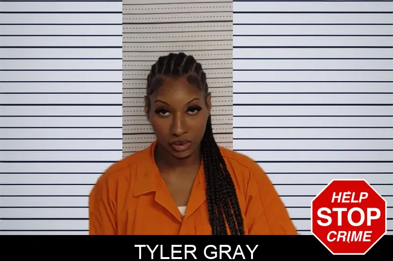 Tyler Gray mugshot – Rockdale County , Georgia Tyler Gray mugshot