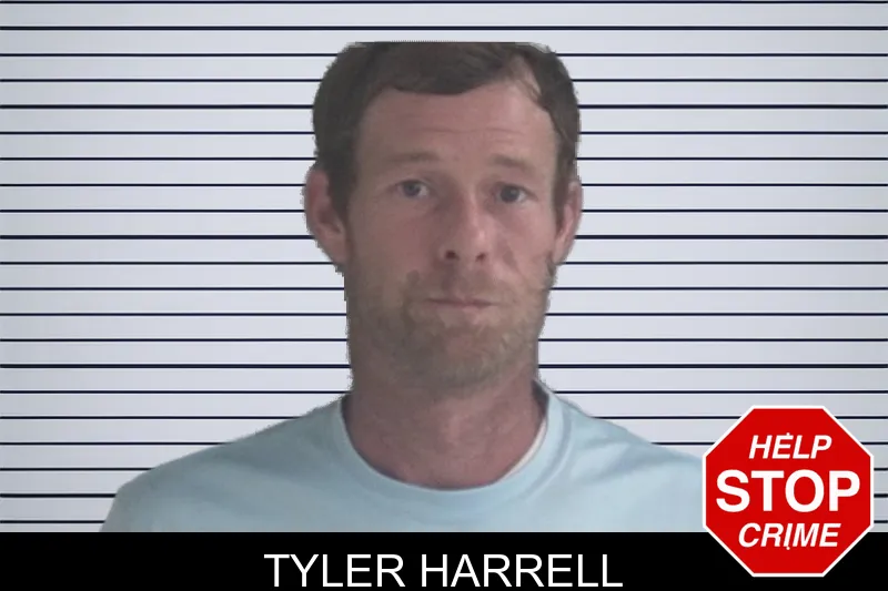 Tyler Harrell mugshot – Brantley County , Georgia Tyler Harrell mugshot