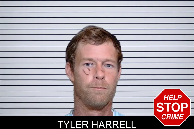 Tyler Harrell mugshot – Glynn County , Georgia Tyler Harrell mugshot
