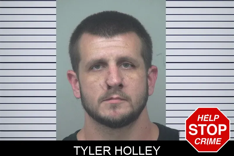 Tyler Holley mugshot – Gwinnett County , Georgia Tyler Holley mugshot