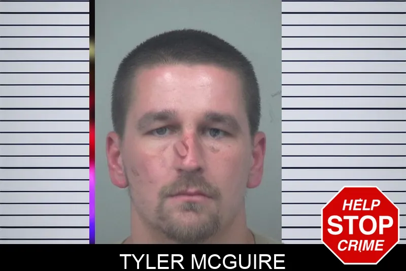 Tyler McGuire mugshot – Gwinnett County , Georgia Tyler McGuire mugshot