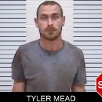 Tyler Mead mugshot – Screven County , Georgia Tyler Mead mugshot