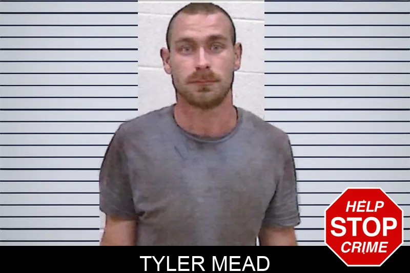 Tyler Mead mugshot