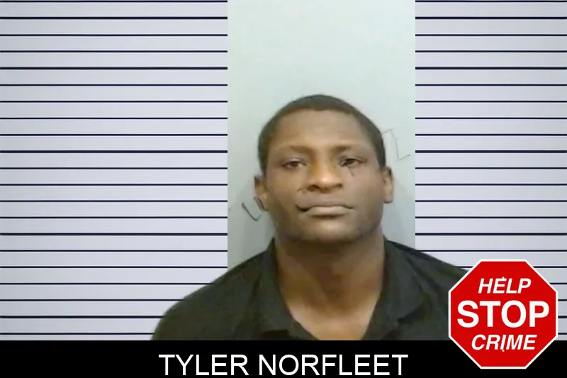 Tyler Norfleet mugshot – Fulton County , Georgia Tyler Norfleet mugshot