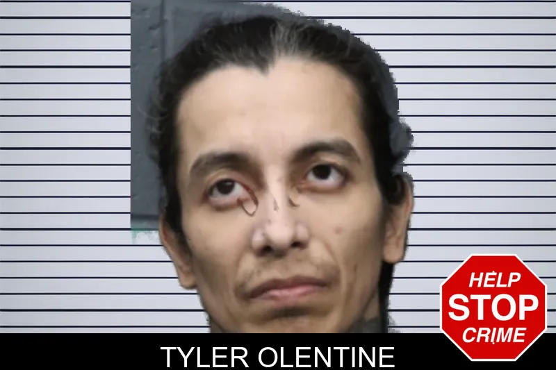 Tyler Olentine mugshot – Forsyth County , Georgia Tyler Olentine mugshot